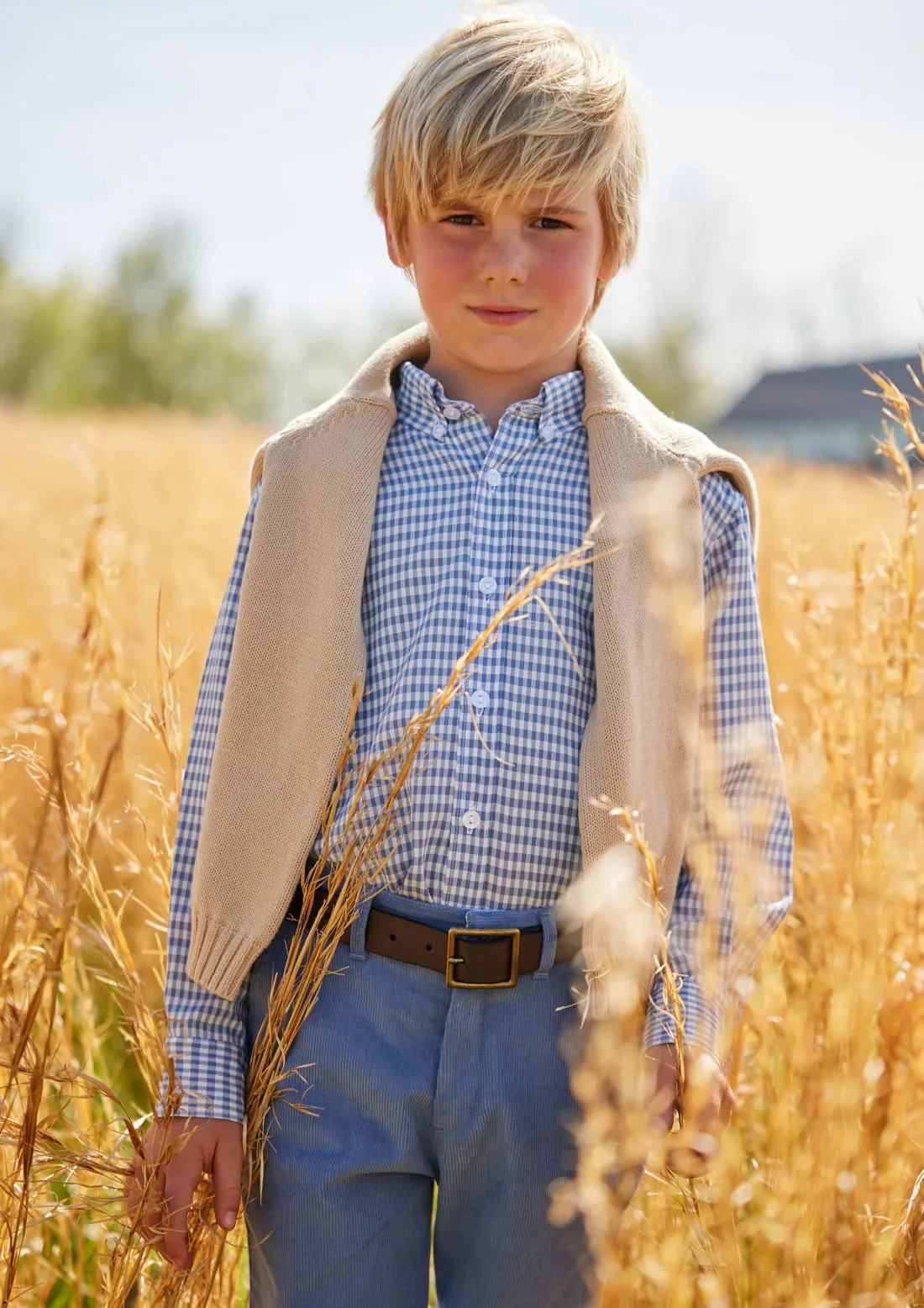 Button Down Shirt - Gray Blue Gingham