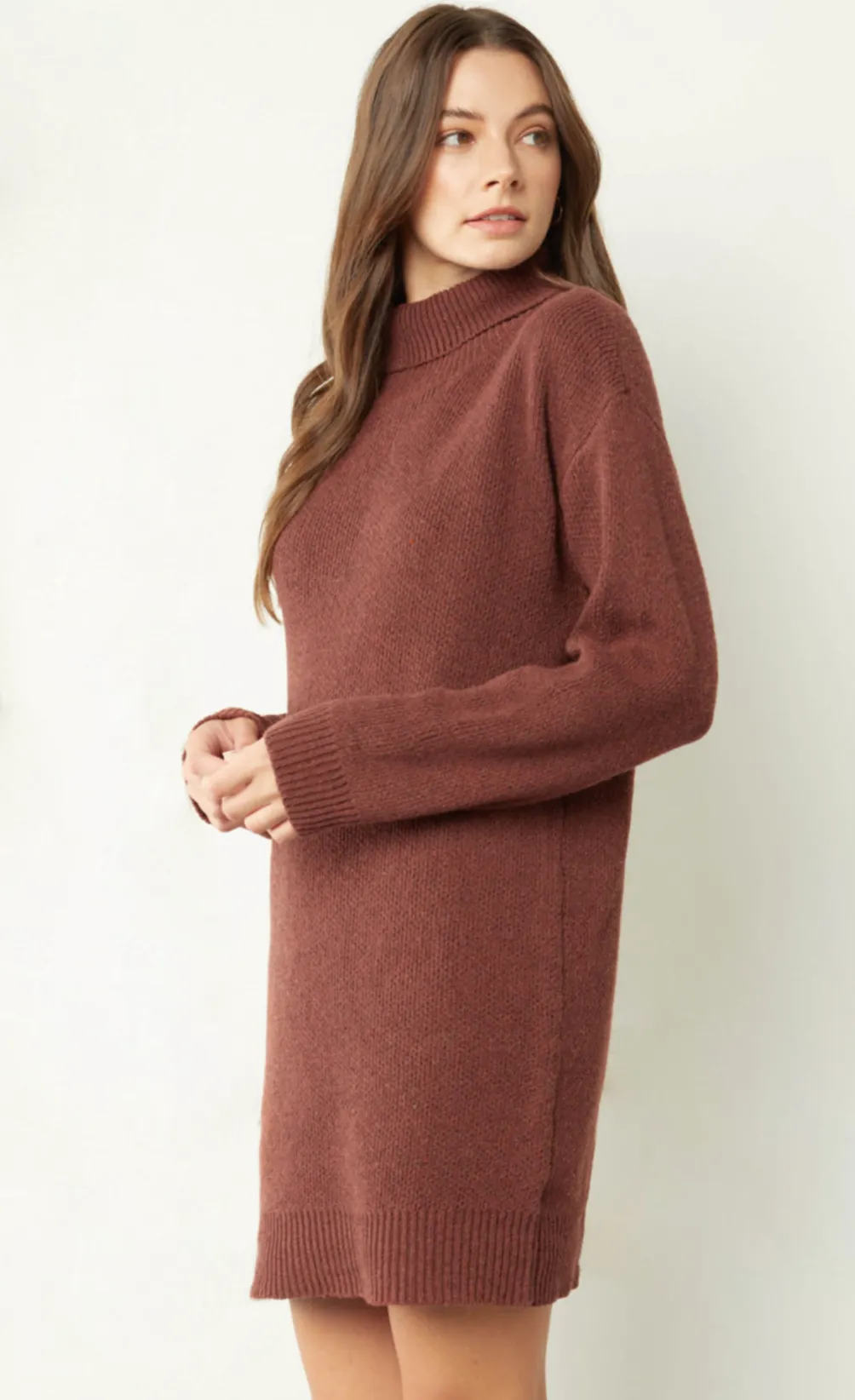 Cinnamon Turtleneck Sweater Dress