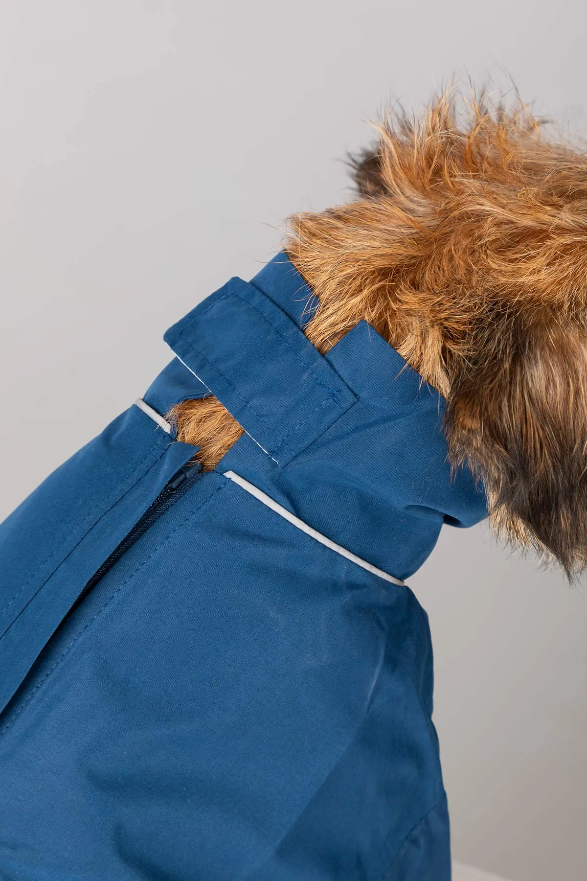 Dog Raincoats - Yapham