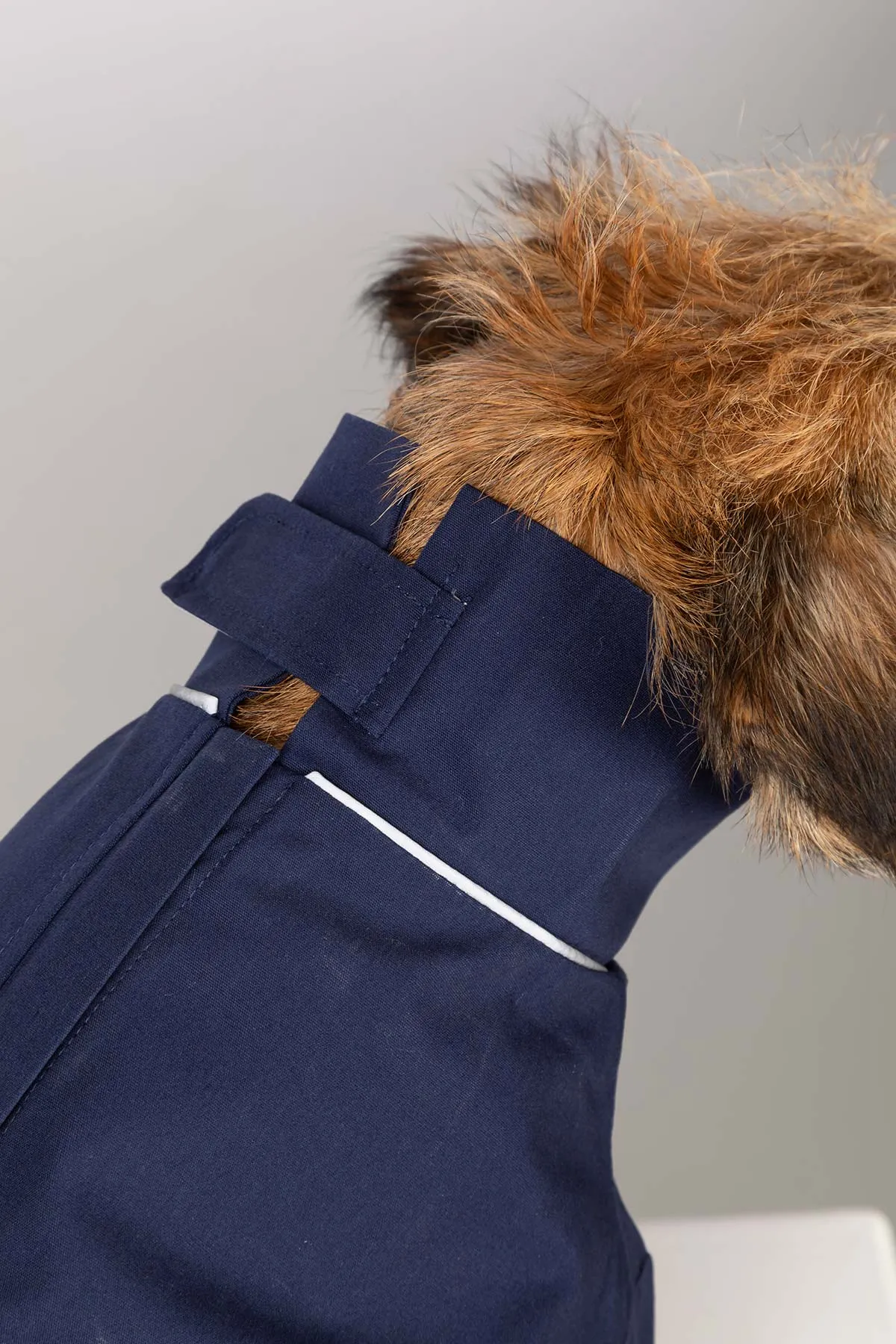 Dog Raincoats - Yapham