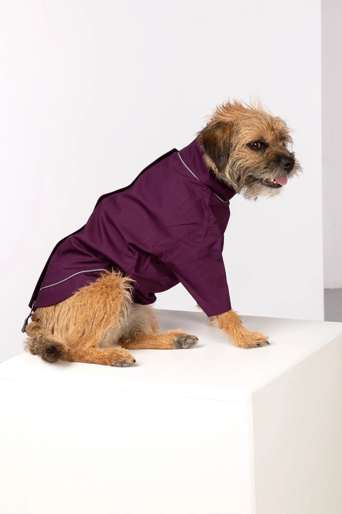 Dog Raincoats - Yapham