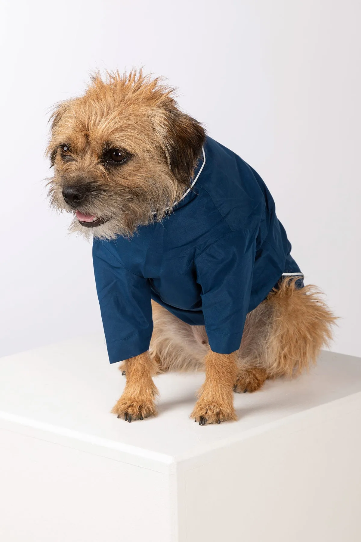 Dog Raincoats - Yapham