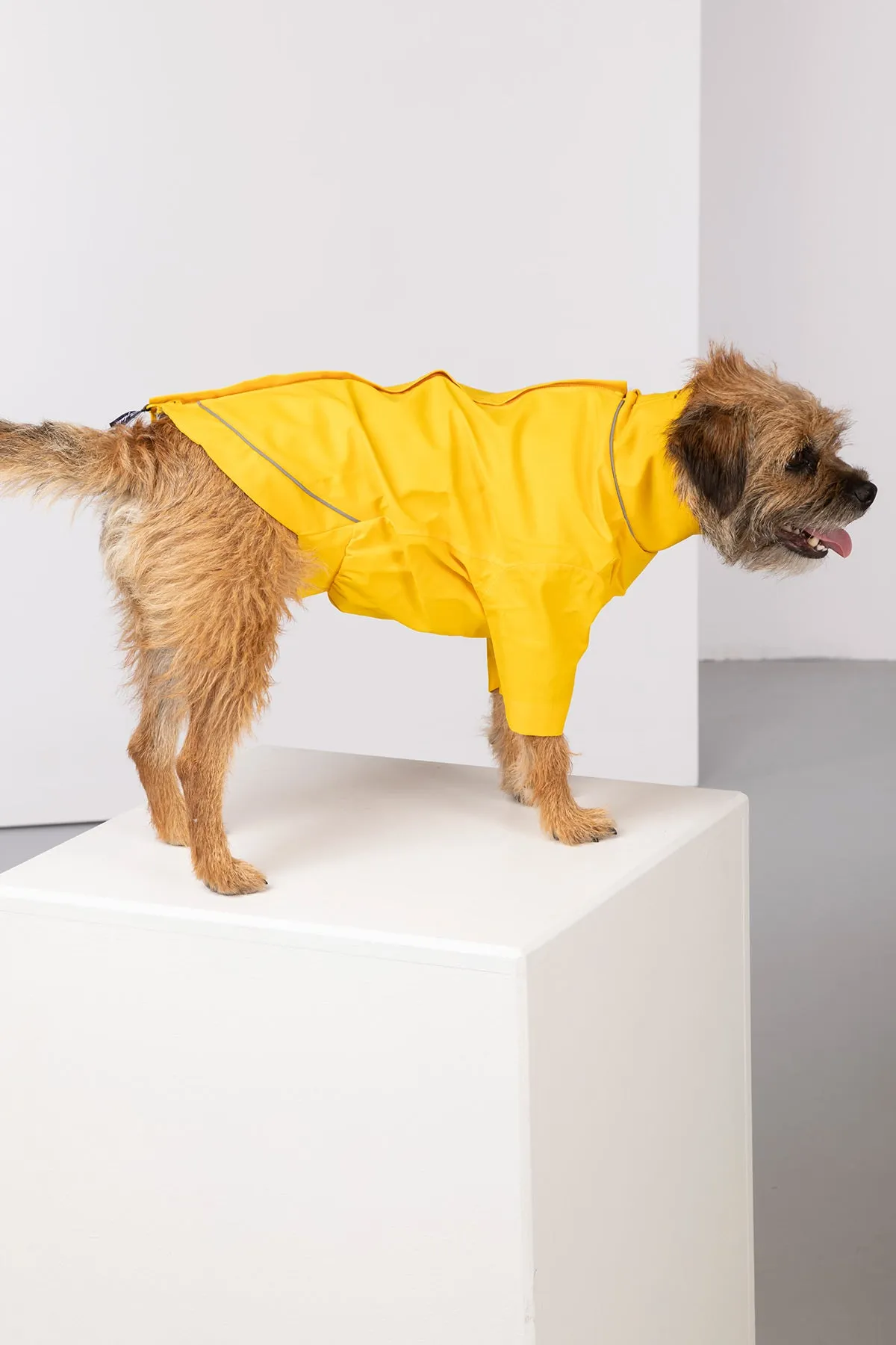 Dog Raincoats - Yapham