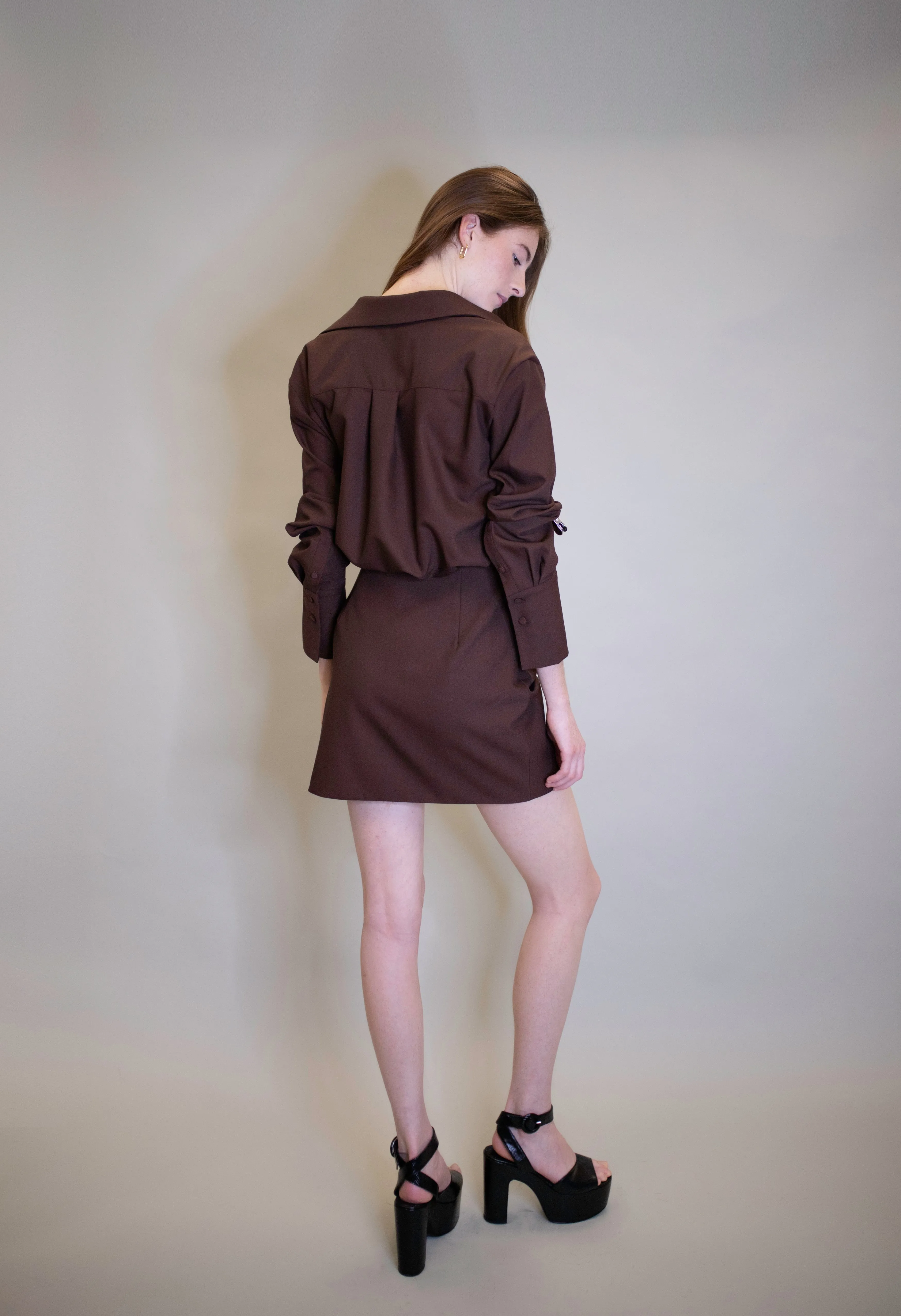 Long Sleeve Deep V Dress in Brown