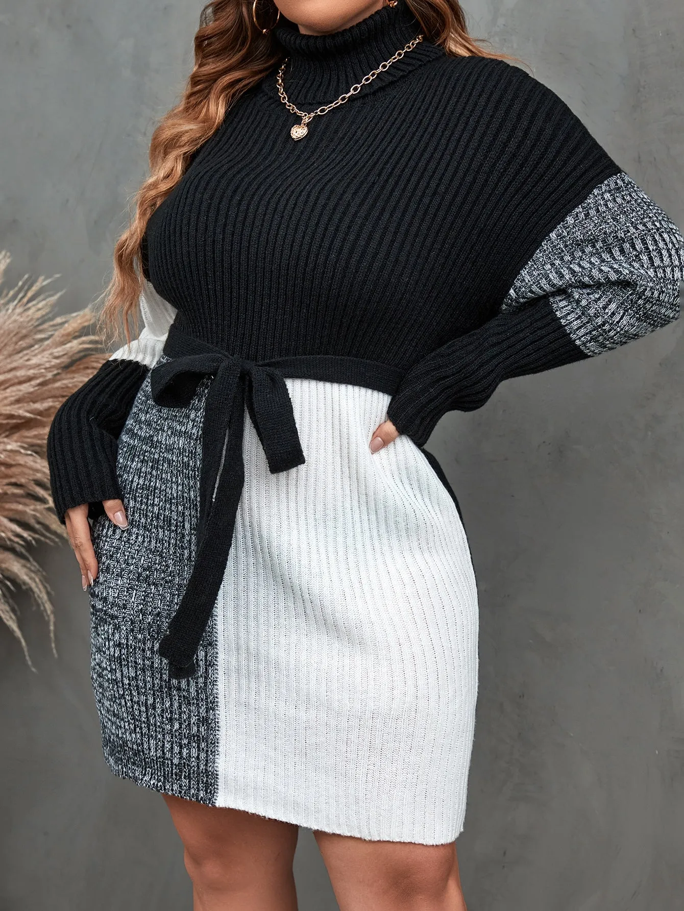 Plus Colorblock Turtleneck Drop Shoulder Belted Sweater Dress