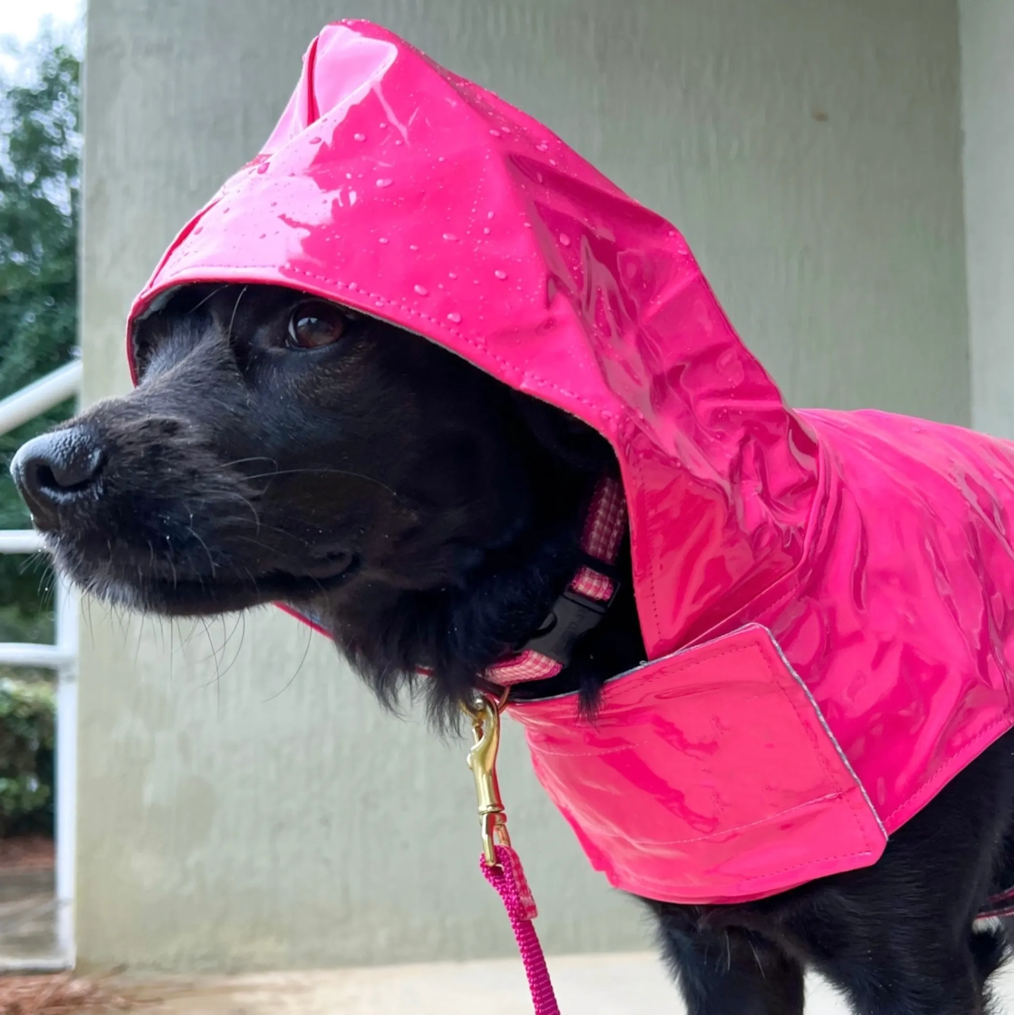 Raincoat Slicker | Pink Daisy