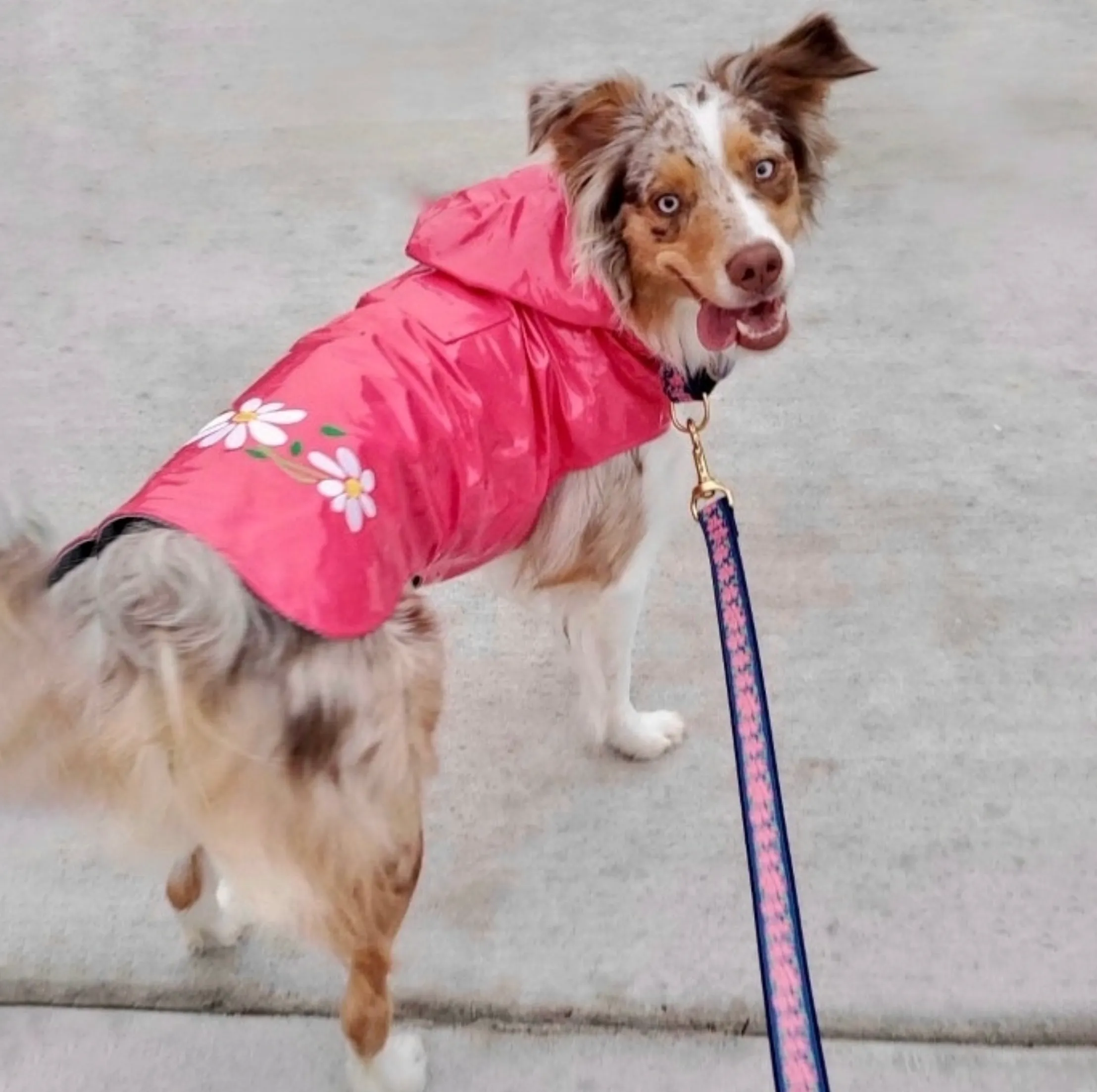 Raincoat Slicker | Pink Daisy