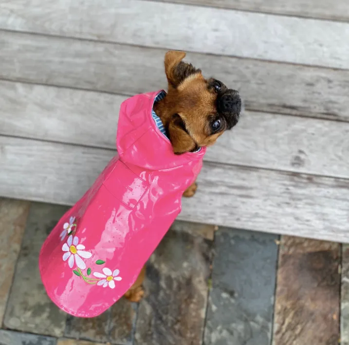 Raincoat Slicker | Pink Daisy