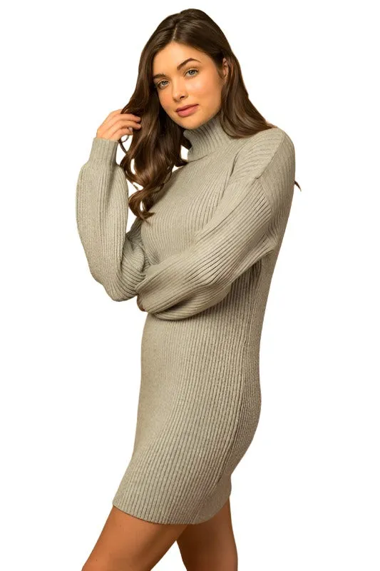 Turtle Neck Balloon Sleeve Sweater Dress