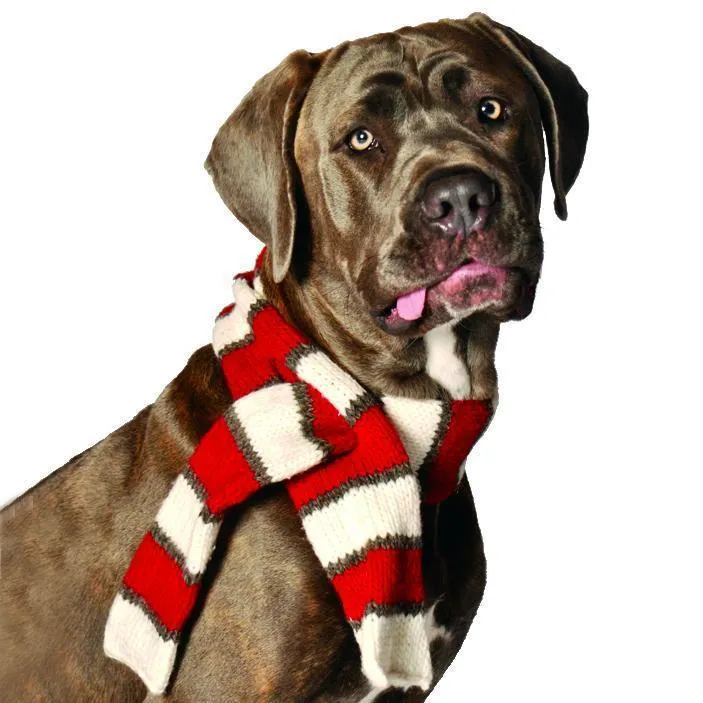 White/Red Dog Scarf